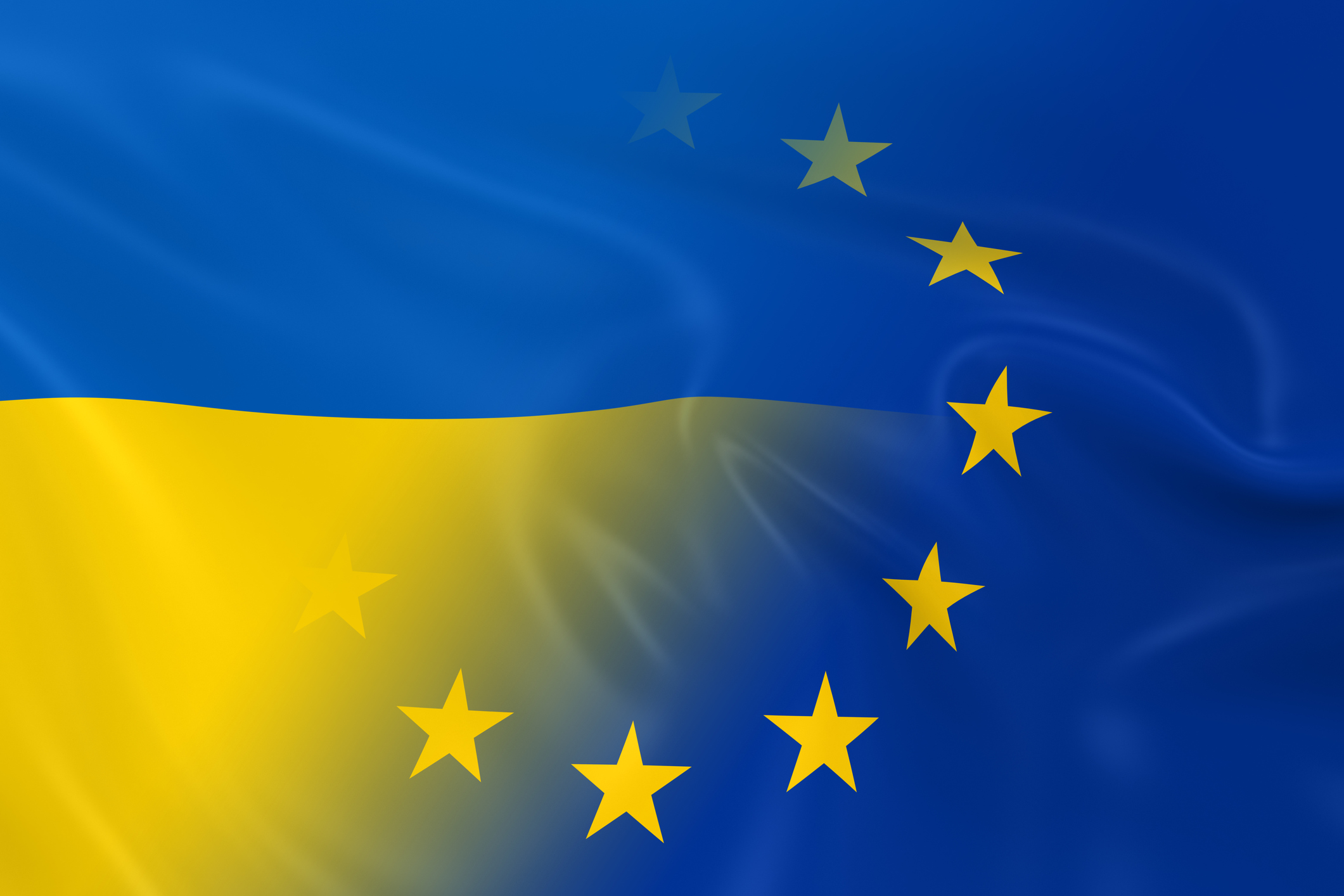 Діяльність під час війни